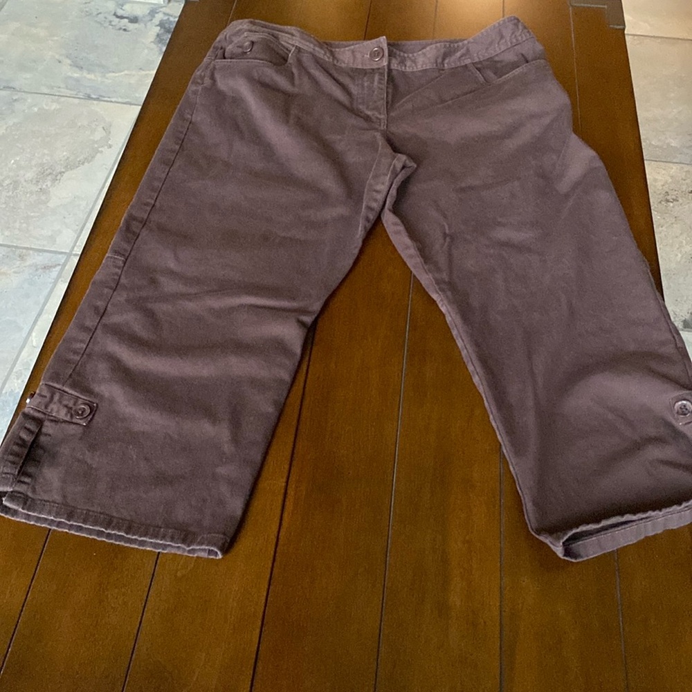 CACHE CREEK Dark Brown Capris Size 14